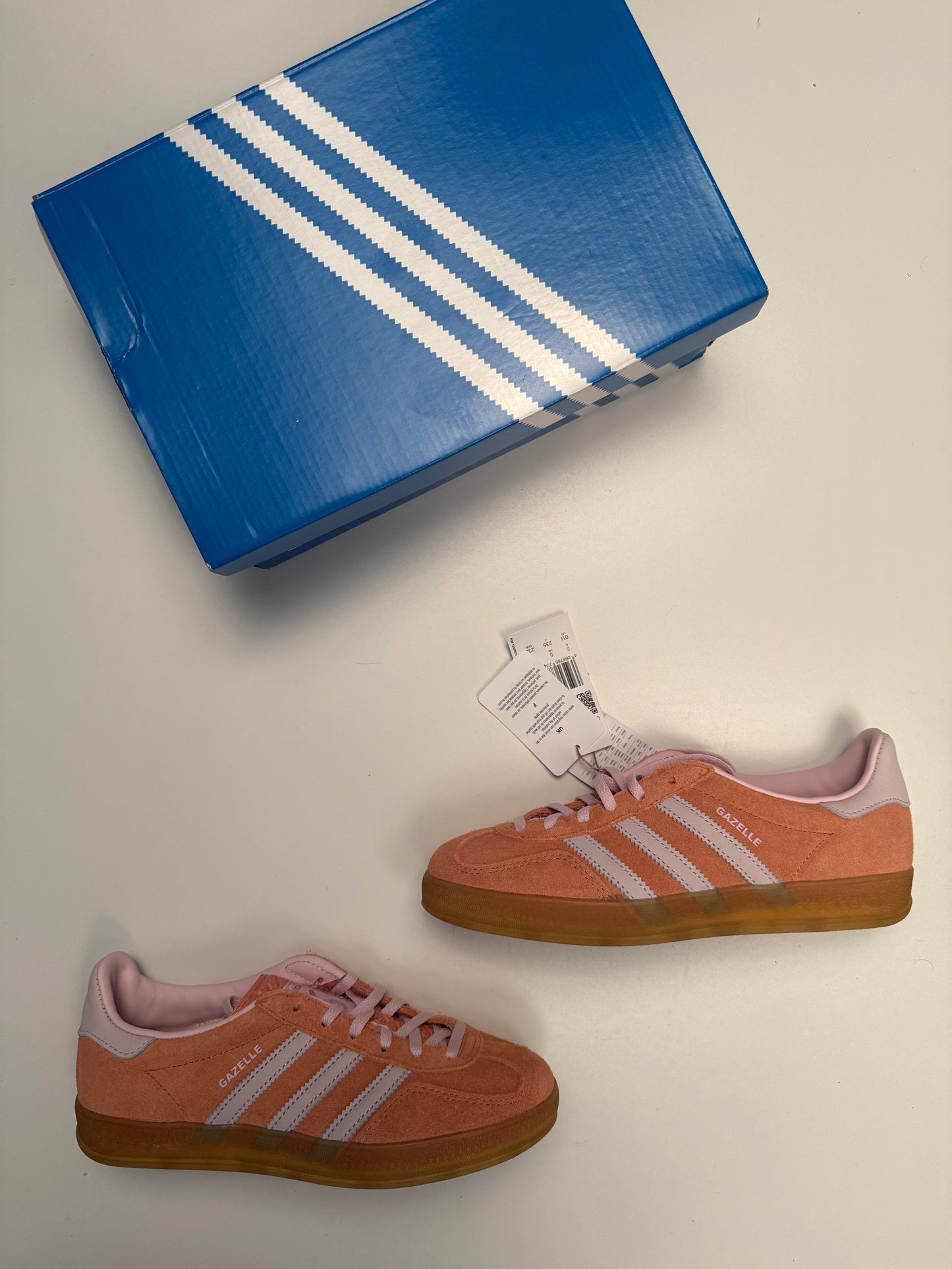 Gazelle Indoor