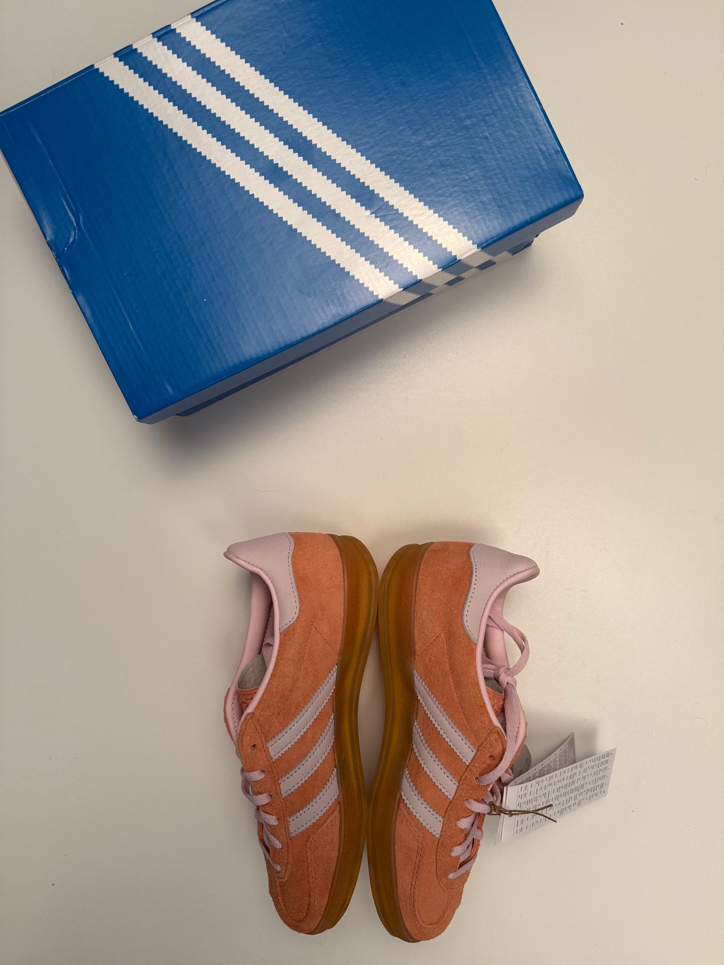 Gazelle Indoor
