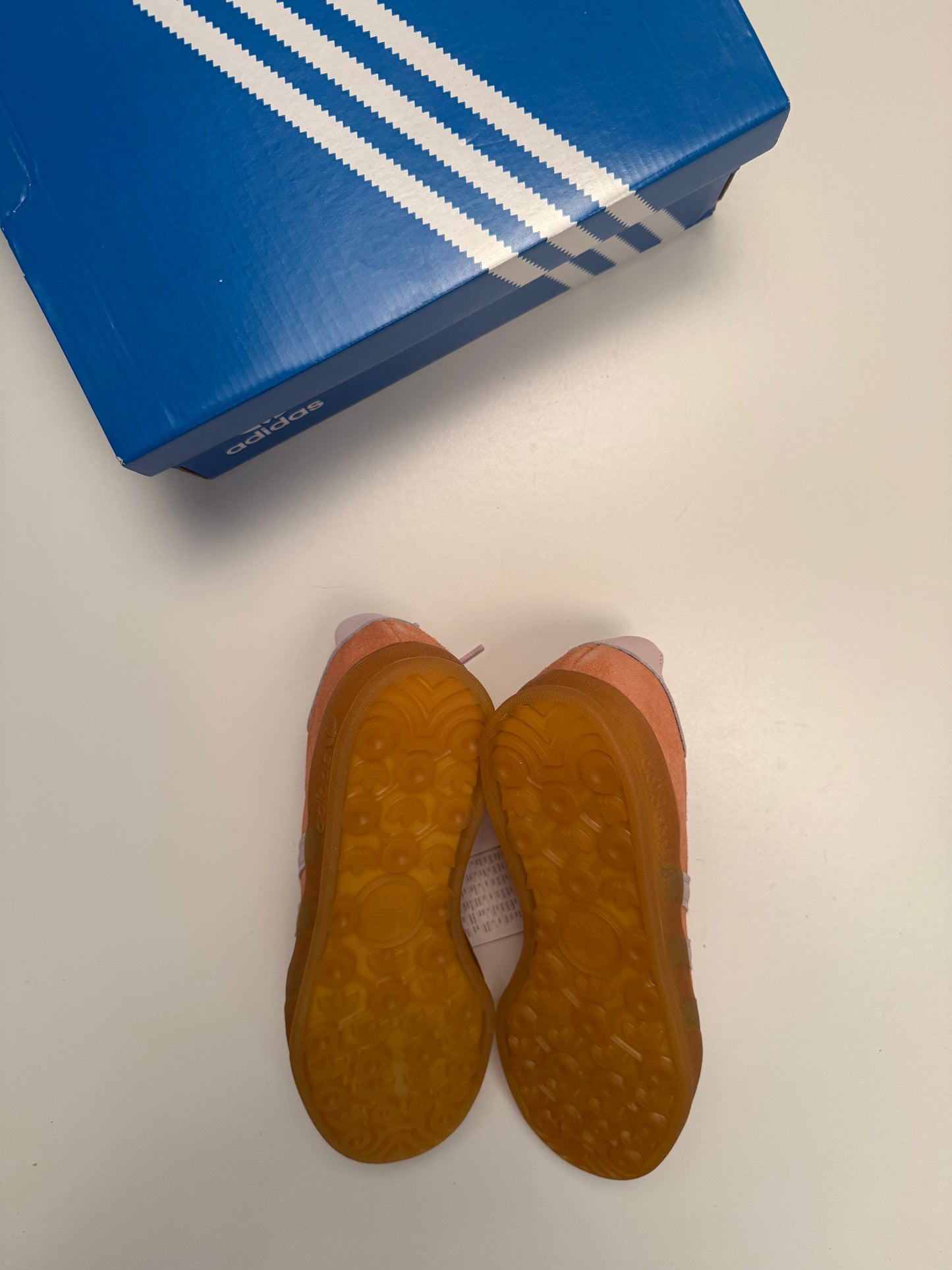 Gazelle Indoor
