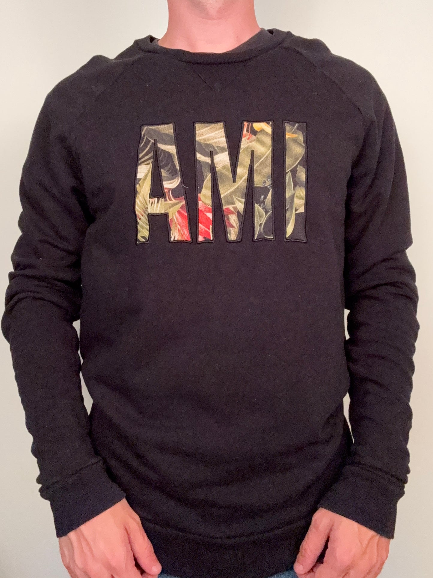 Pull Ami Paris