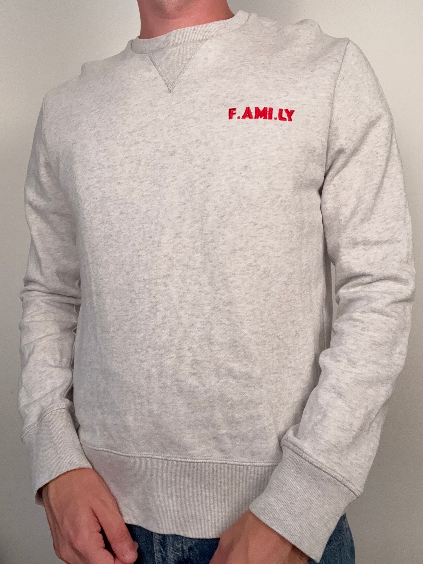 Pull Ami Paris